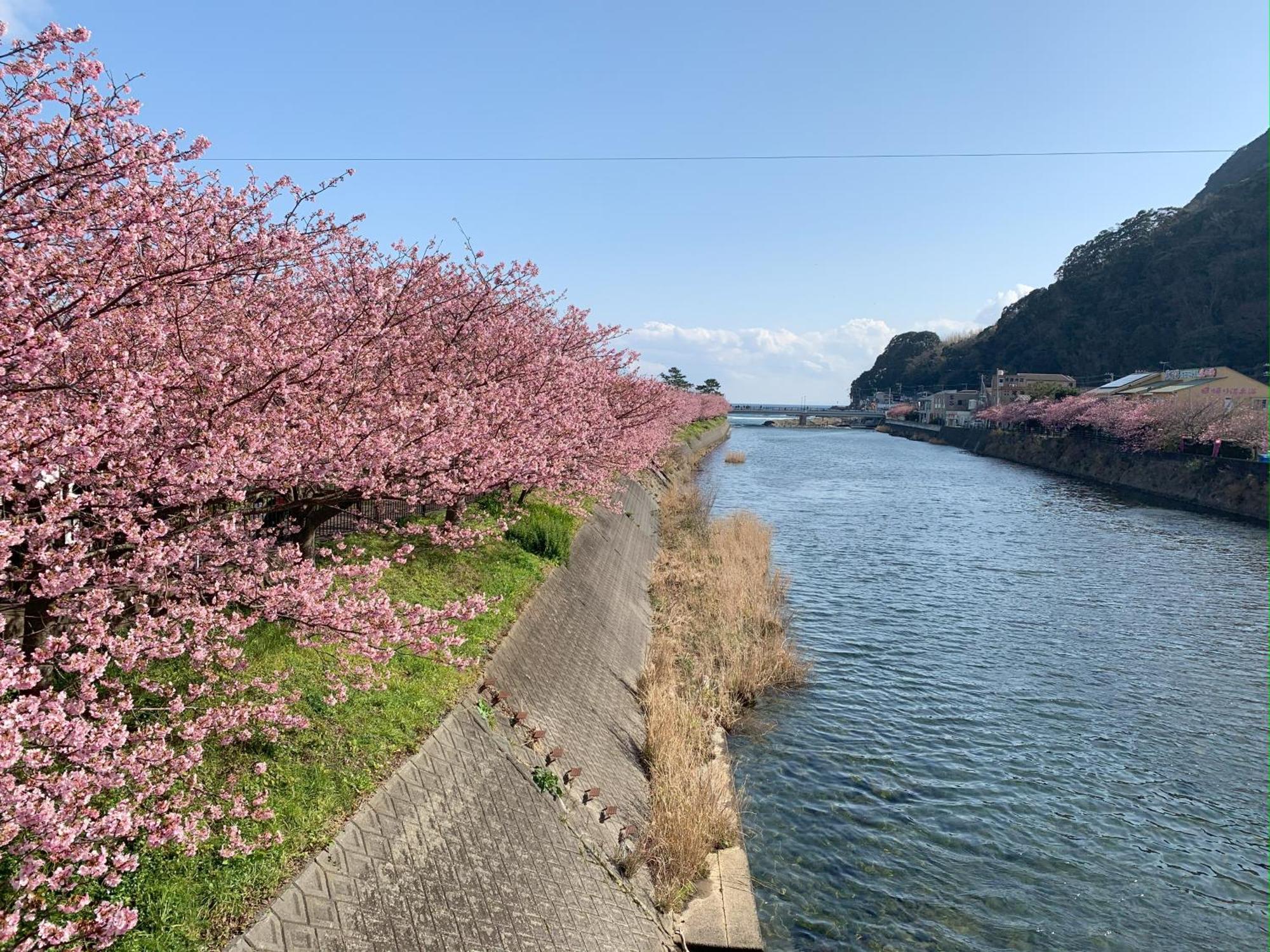伊豆高原テラス-寛道- Villa Ito  Exteriör bild